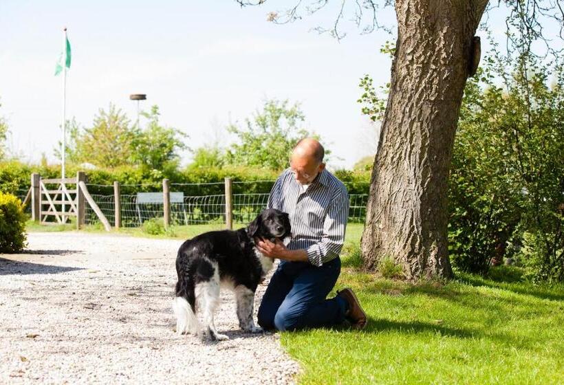 חדר סטנדרט, Bed And Breakfast Klein Groenbergen