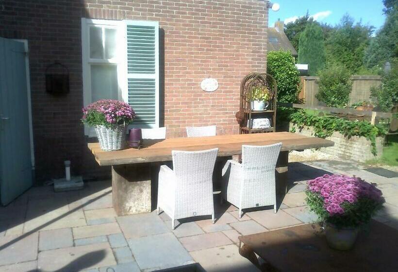 舒适型房间, Sonop