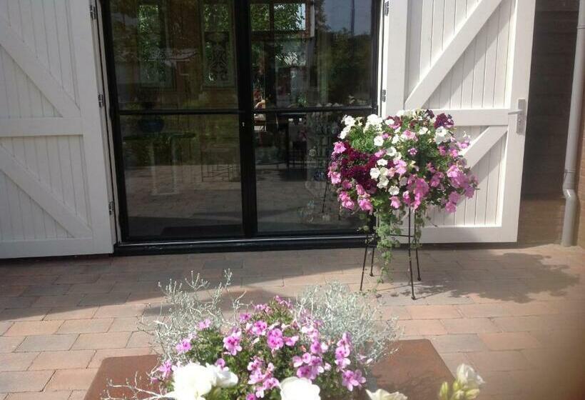 带1个卧室的公寓, Sonop