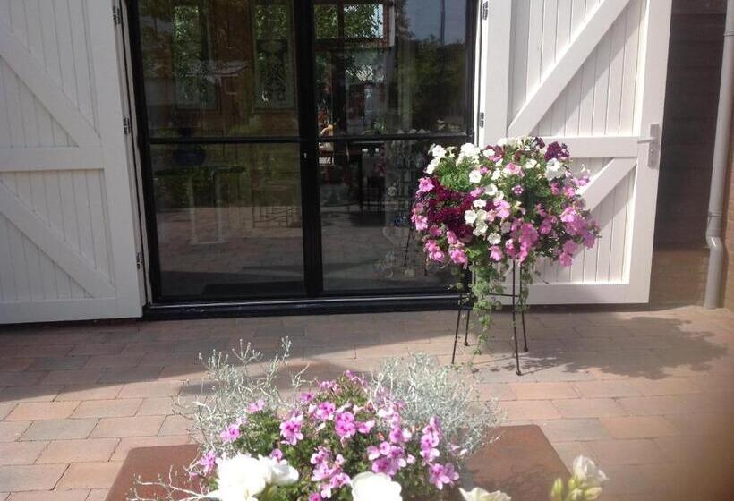 2间卧室的房子, Sonop