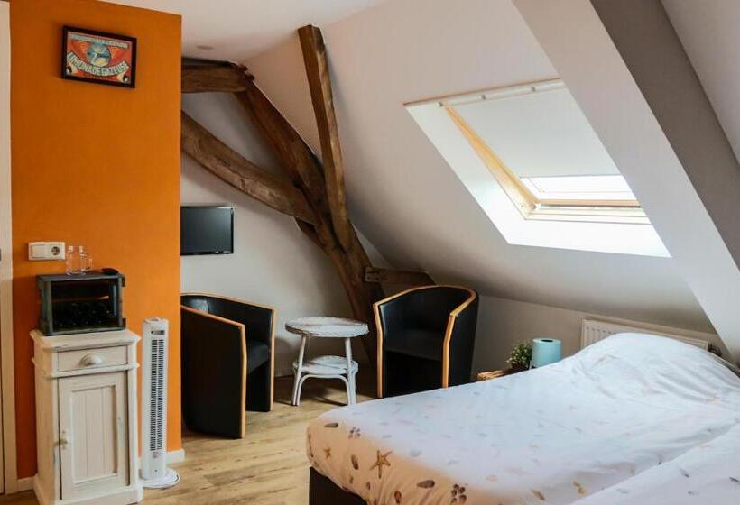 اتاق استاندارد, T Brouwershuis