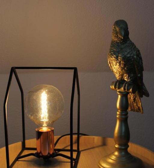 Семейный Номер, Anna Casparii