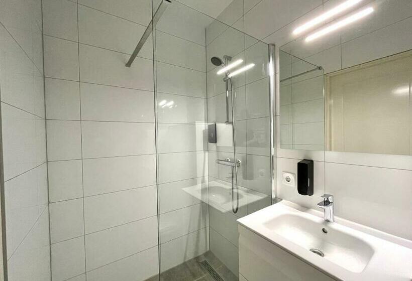 Номер Стандарт Трехместный, Hector Zierikzee