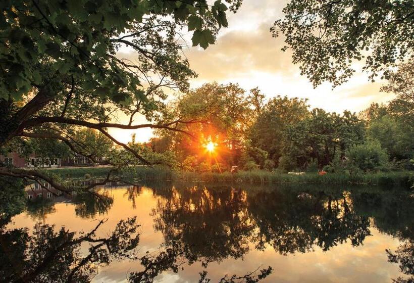 스탠다드 싱글 룸, Restaurant In D Ouwe Peel