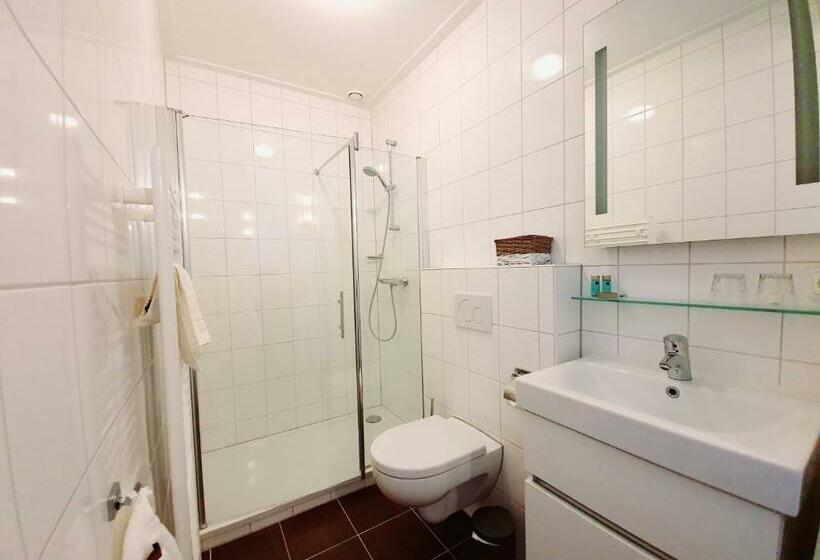 Номер Deluxe, Stadsherberg Sneek