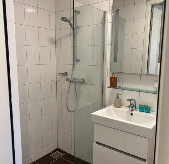 Standard-huone King-vuode, Stadsherberg Sneek