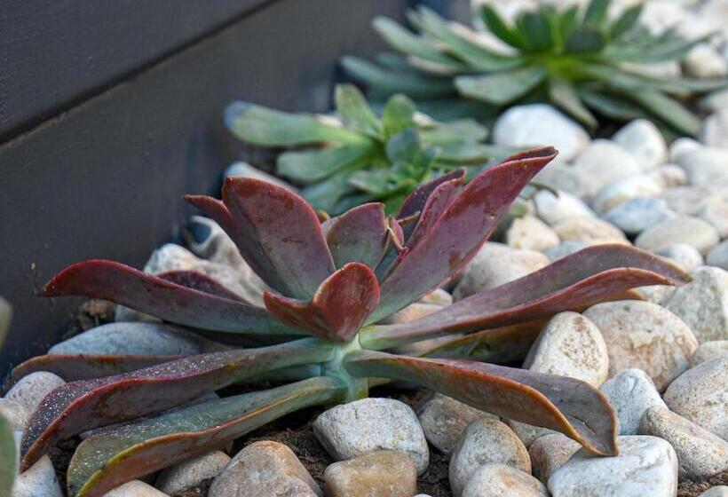 コンフォートルーム, Velddrif Riverside Guesthouse