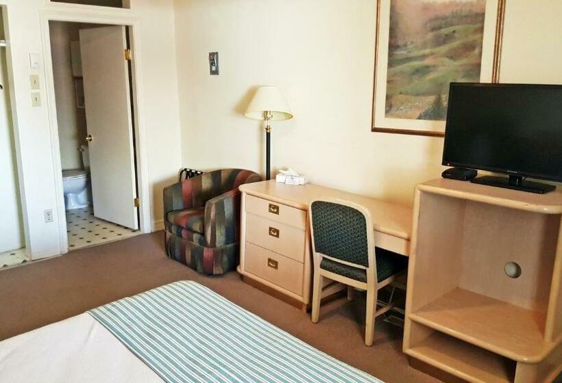 חדר סטנדרט, Badlands Motel