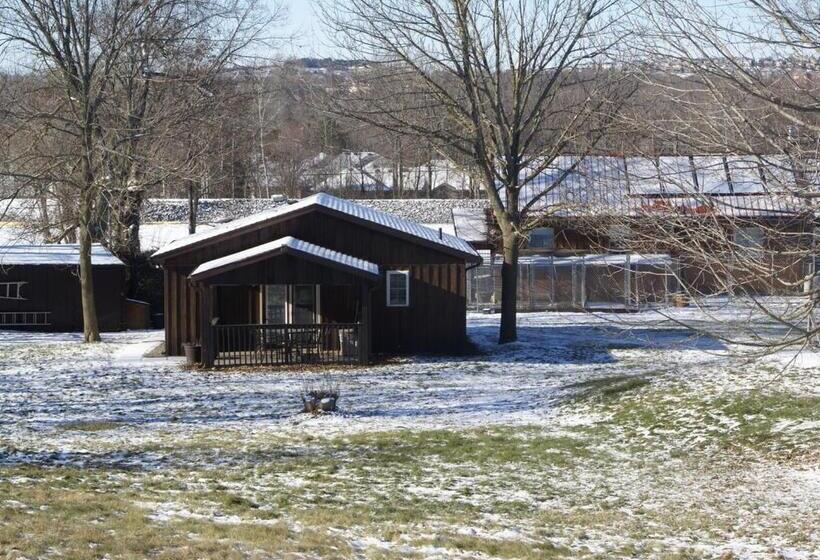 חדר דלוקס, Liftlock Guest House