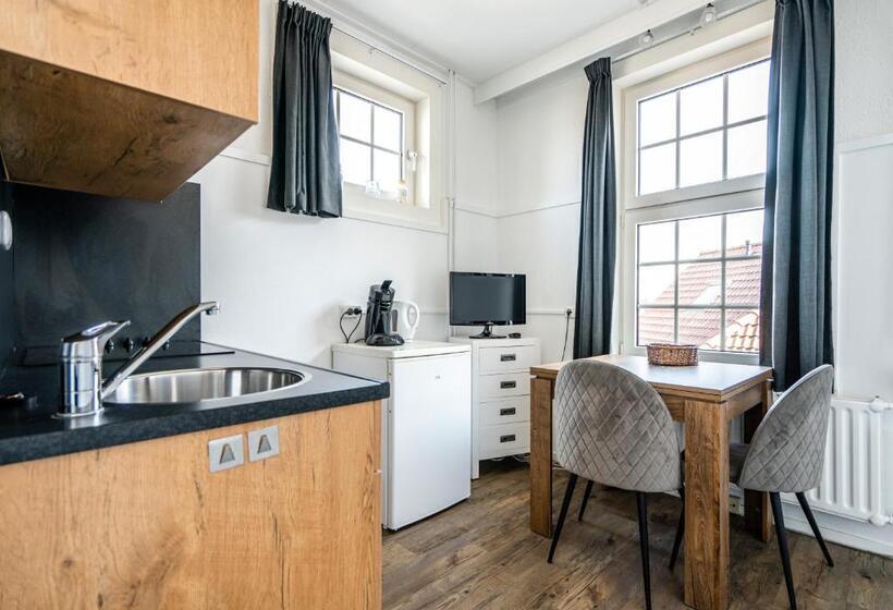 Студия Стандарт, Duinhotel Haga