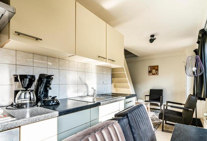 Апартаменты 1 Спальня с Террасой, Duinhotel Haga