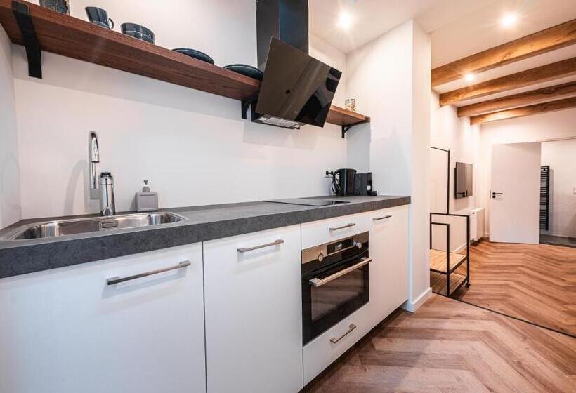 Студия Deluxe, Familie Hotel & Apartments Alkmaar