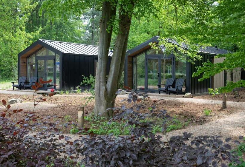 豪华工作室, Herberg Restaurant 't Zwaantje