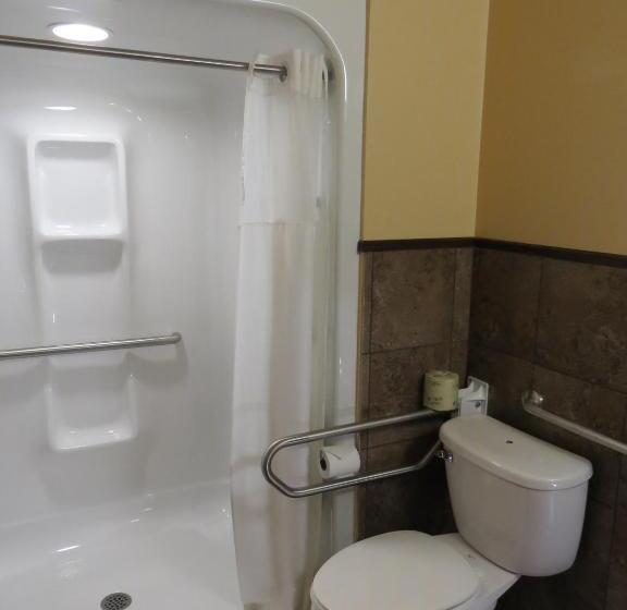 장애인을 위한 킹사이즈 침대 스탠다드 룸, Poplar Tree Inn