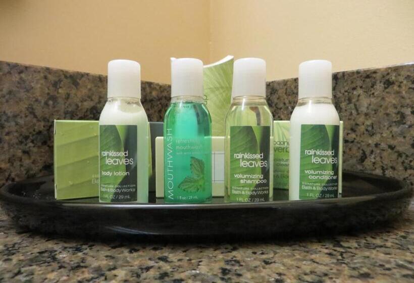 장애인을 위한 킹사이즈 침대 스탠다드 룸, Poplar Tree Inn