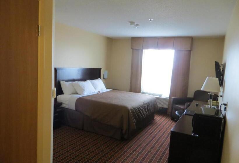 Quarto Estandar Cama King para Deficientes Físicos, Poplar Tree Inn