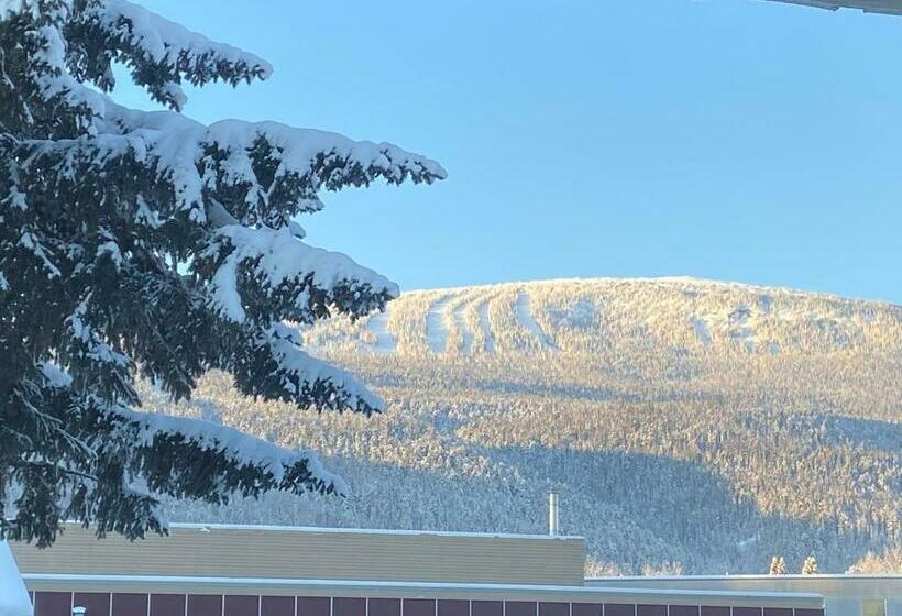 스탠다드 룸, Mountain View Motel