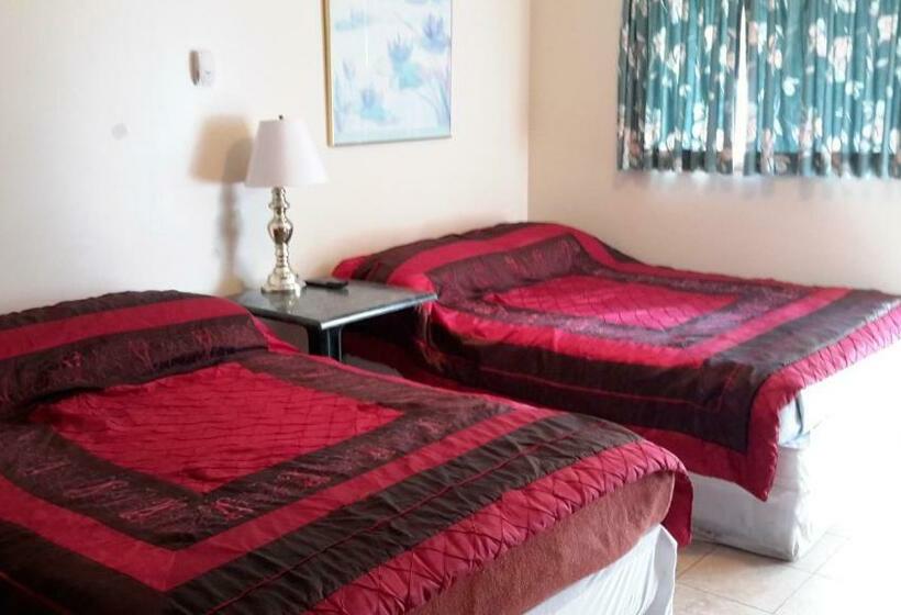 스탠다드 룸, Mountain View Motel