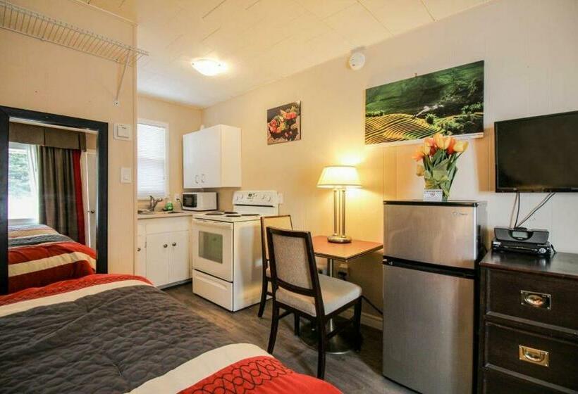 スタンダードスタジオ, The White Horse Motel