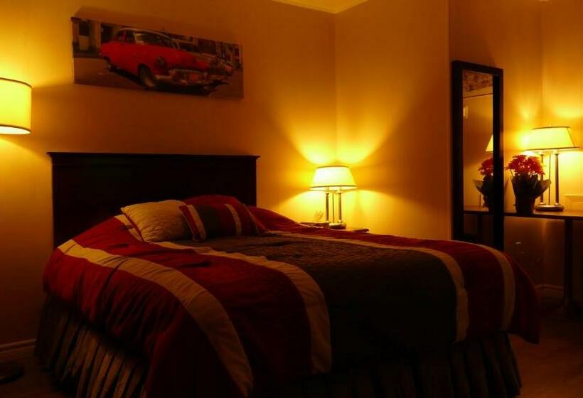 スタンダードルーム, The White Horse Motel