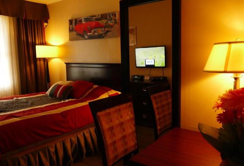 スタンダードルーム, The White Horse Motel