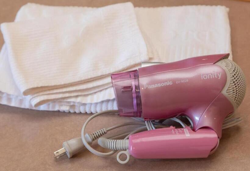 Номер Стандарт, Tabist Hirosaki Touei