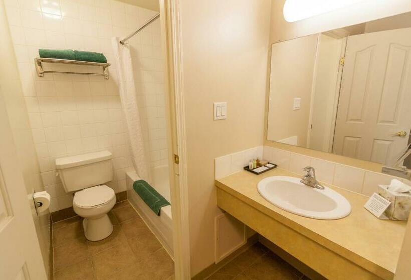 Standard Szoba, Best Maple Inn  Drayton Valley