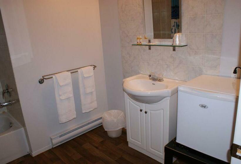 غرفه قياسيه سريرين مزدوجين, Motel Le Victo