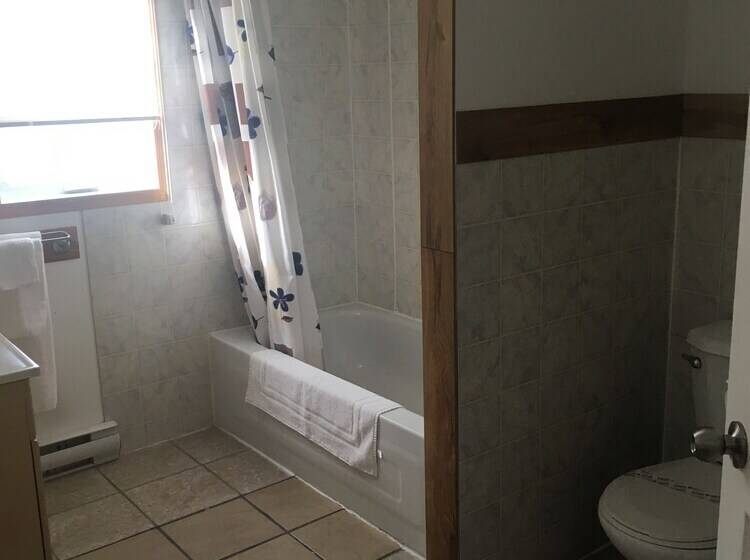 غرفه قياسيه سريرين مزدوجين, Motel Le Victo