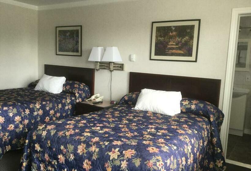 带2个双人床的标准工作室, Tay Inn