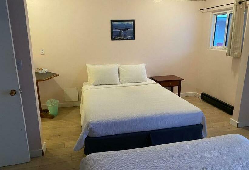 חדר קומפורט לשלושה, Paradise Motel