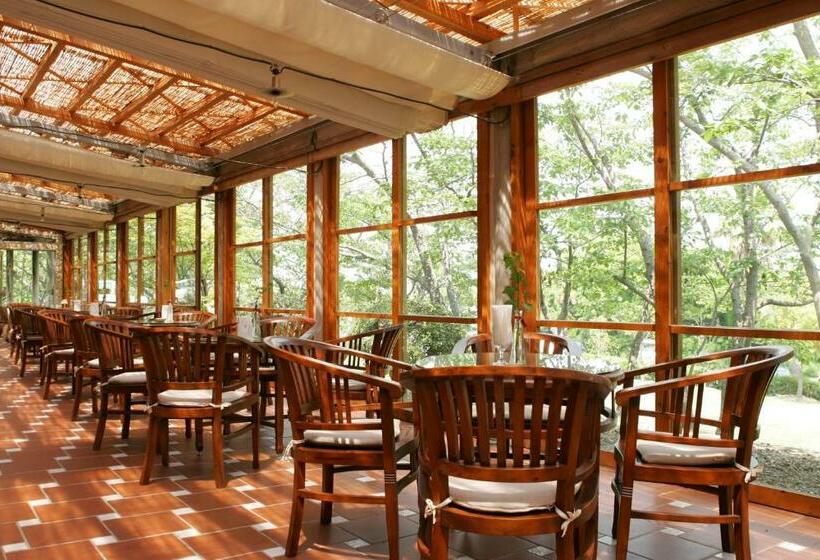 带1个卧室的公寓套房, Resort Hotel Moana Coast