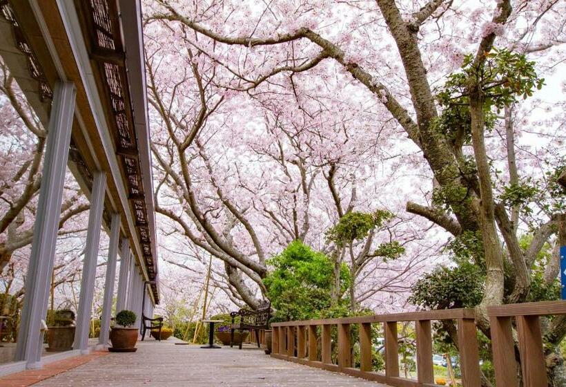 带1个卧室的公寓套房, Resort Hotel Moana Coast