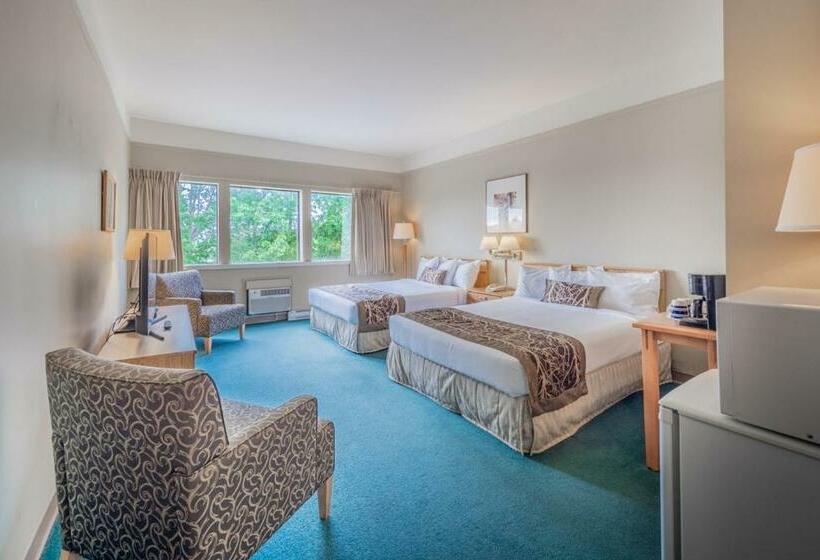 스탠다드 룸 퀸사이즈 침대, The Cedars Inn Hotel & Convention Centre