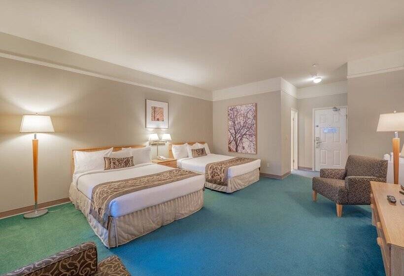 스탠다드 룸 더블 침대 2개, The Cedars Inn Hotel & Convention Centre