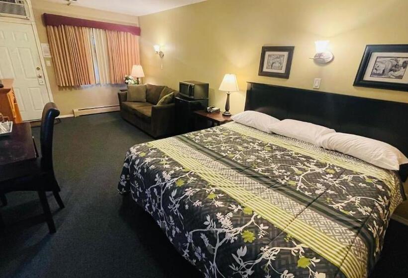 Standard Værelse King Size Seng, Travellers Motel