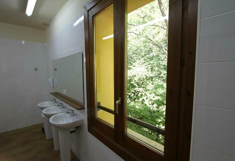 스탠다드 트리픔 룸 공동욕실, Alberg Roques Blanques