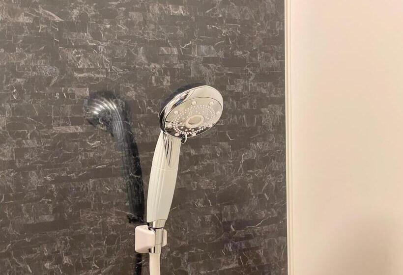 豪华房间, Kusatsu Daiichi