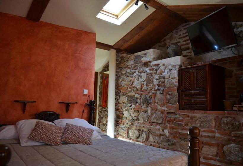 スタンダードルーム, La Beltraneja