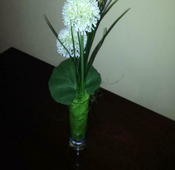 غرفة قياسية, Piedras