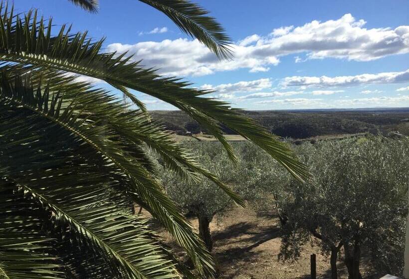 إستوديو قياسى, Hostel Cañaveral