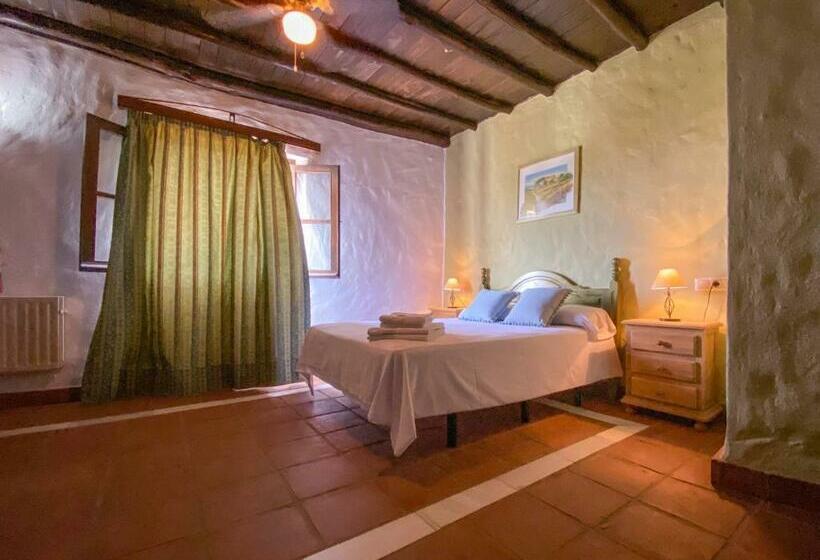 חדר סטנדרט, Almeji