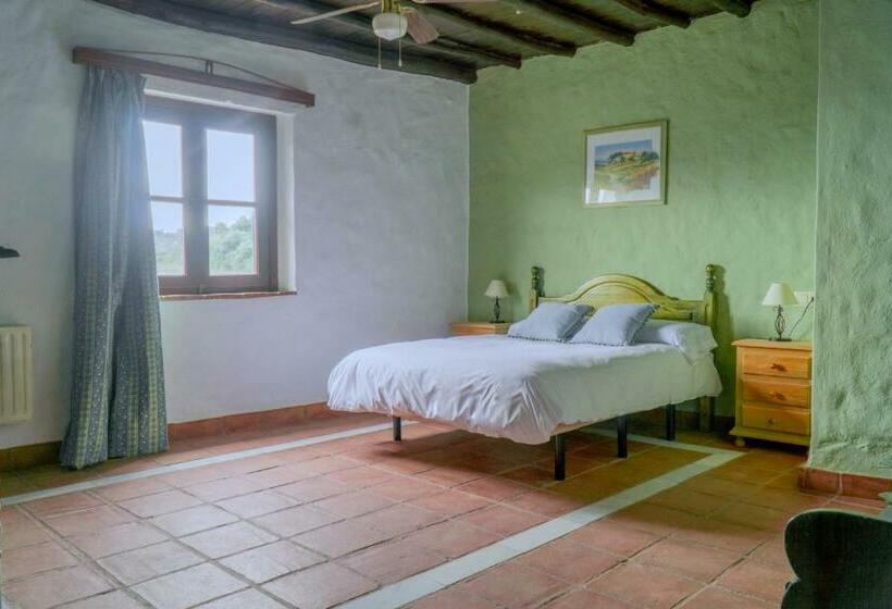 חדר סטנדרט, Almeji