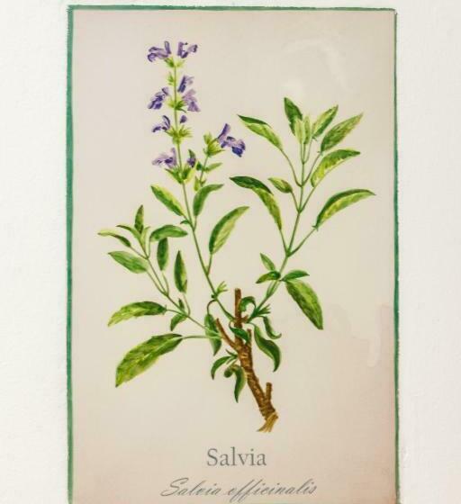 Номер Superior, Arte De Cozina