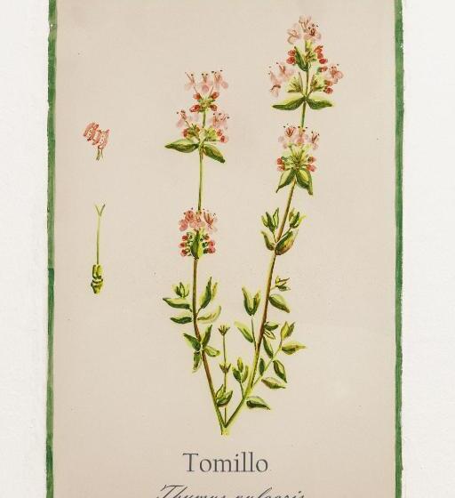 Номер Стандарт с Балконом, Arte De Cozina