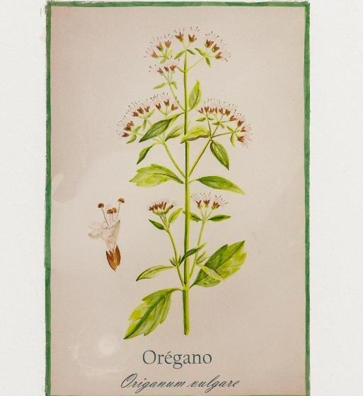 Номер Стандарт с Балконом, Arte De Cozina