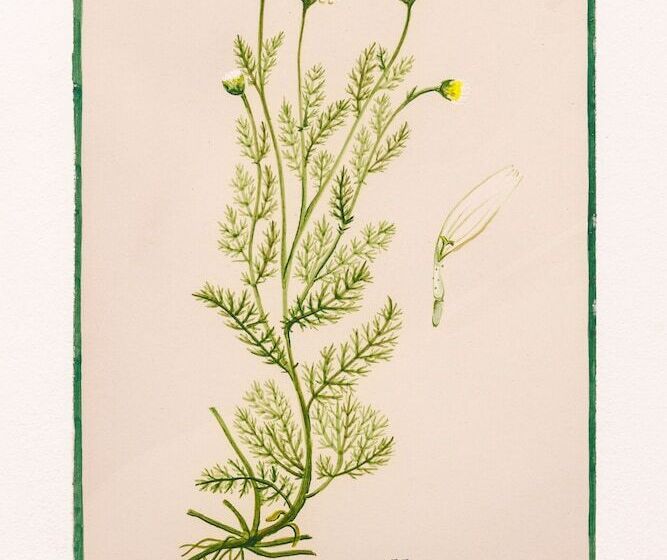 Номер Стандарт, Arte De Cozina