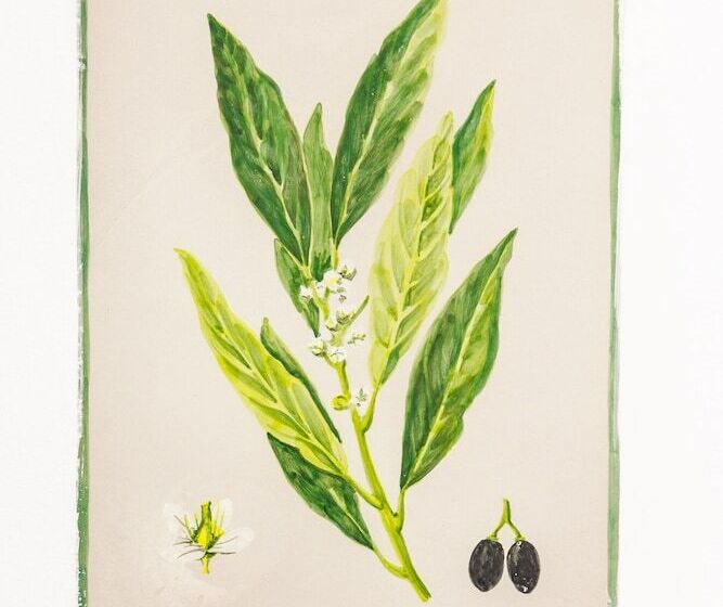 Номер Стандарт, Arte De Cozina