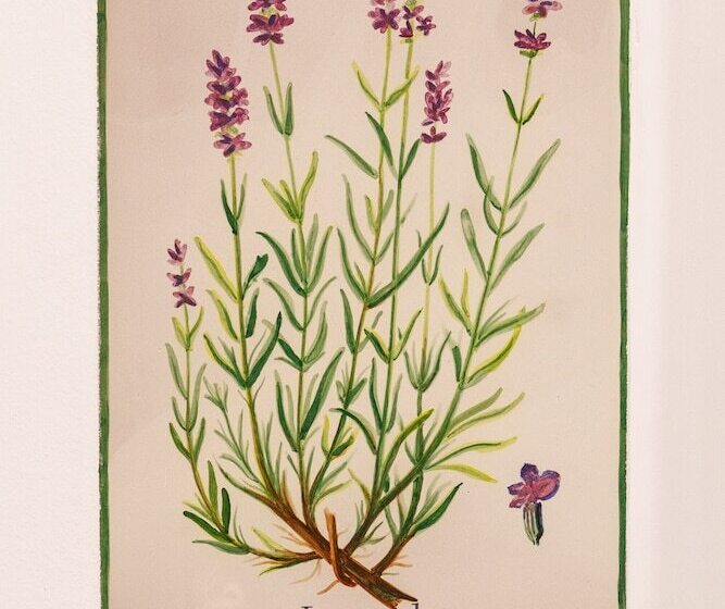 Номер Superior, Arte De Cozina