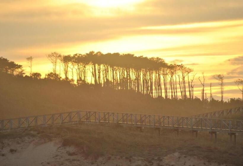 اتاق استاندارد با تراس و چشم‌انداز دریا, El Ribero De Langre